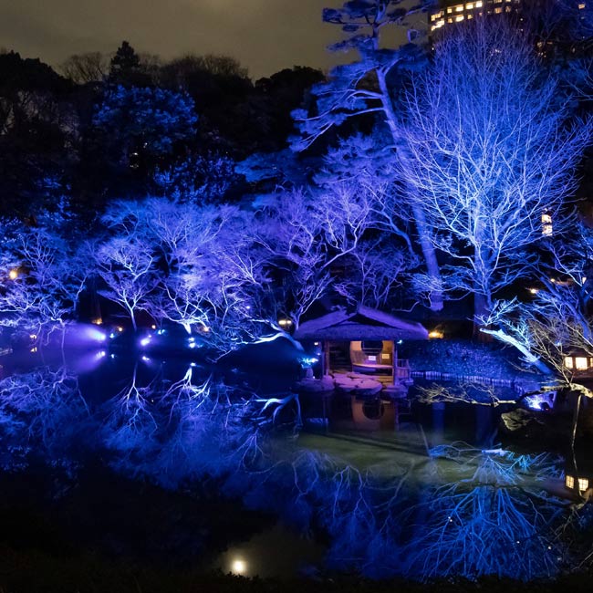 八芳園「TOKYO BLUE GARDEN 2024-2025」