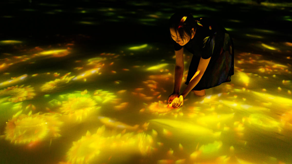 ひまわりが咲き渡る夏イベント！チームラボプラネッツで「人と共に踊る鯉によって描かれる水面のドローイング - Infinity」開催
