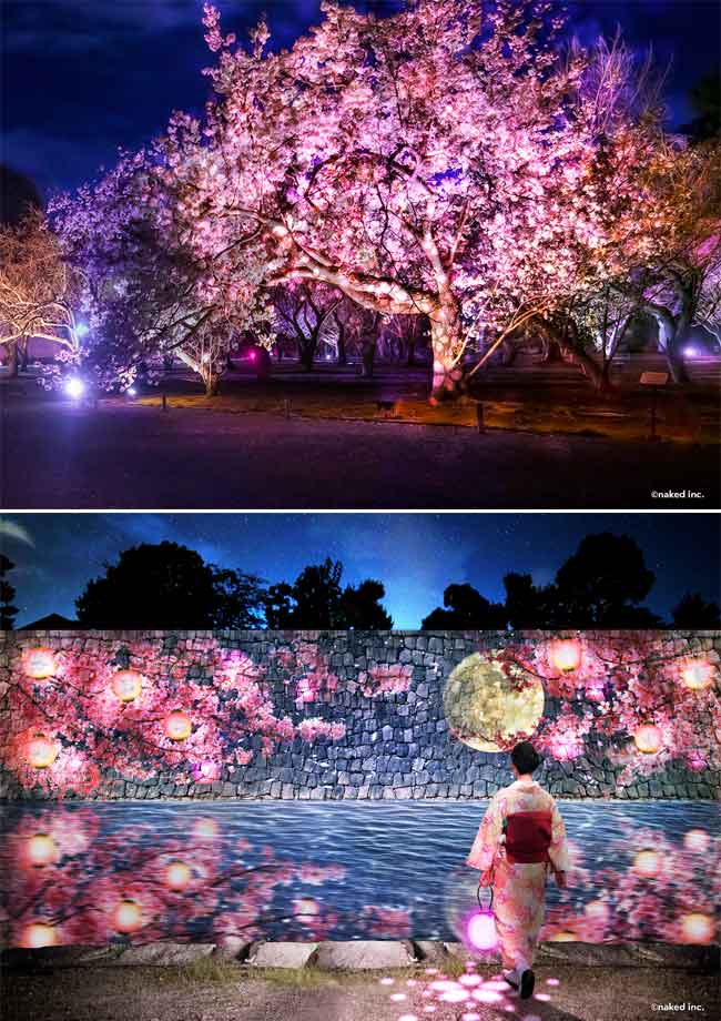 桜ライトアップ「花かがりの園（はなかがりのその）」／プロジェクションマッピングショー「桜月夜絵図（さくらづきよえず）」
