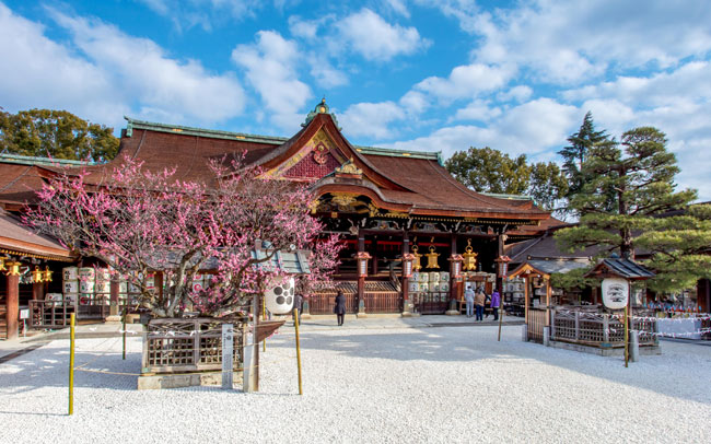 伝説の梅、香る梅林も。京都「梅の名所」へ