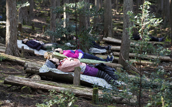 森のベッド体験も！熊野古道ツアー参加募集