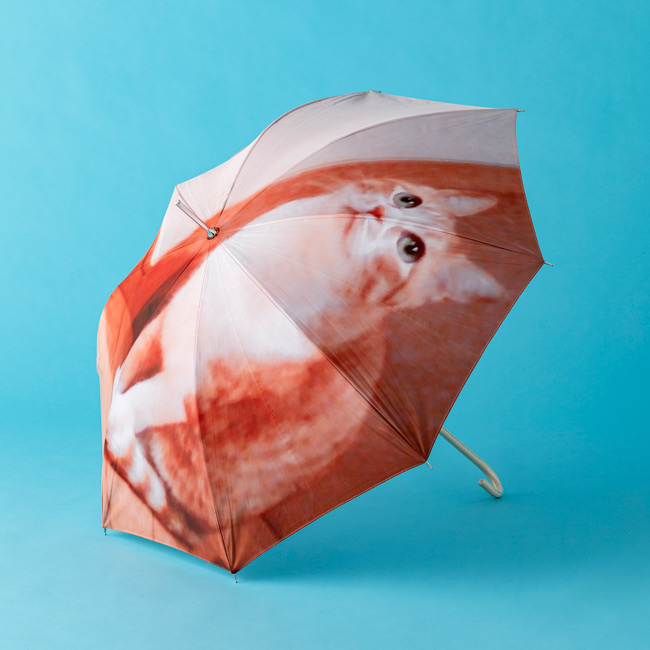 雨の日におすすめの傘／松屋銀座オリジナル「オーダーシステム」
