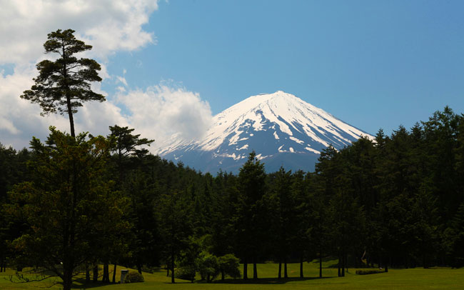 ぶどう狩り40分もぎ取り食べ放題の体験付き！富士山麓に佇むリゾートホテルで大人デート