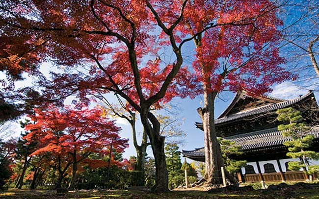 祇園・東山できれいな紅葉が見られるお寺