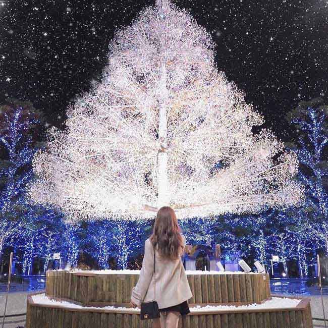 【3位】美しいクリスタルの輝きに魅了。東京ガーデンテラス紀尾井町「KIOI CRYSTAL WINTER '19/'20」