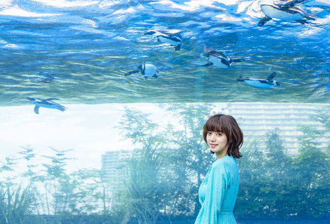 東京の“ひんやり”スポットの定番といえば、水族館