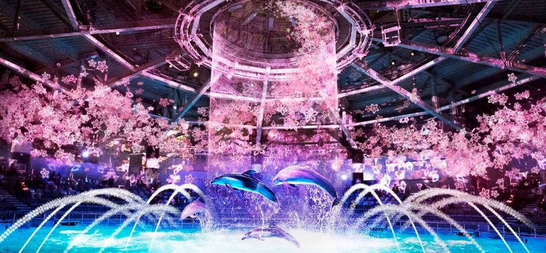 品川「マクセル アクアパーク品川」では日本の文化であるお花見を、“海の世界”×“デジタルアートの桜”で表現！