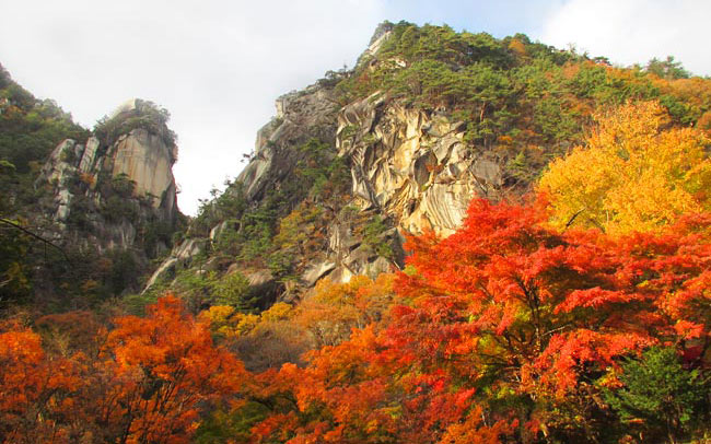 日本一の渓谷美！東京からすぐ行ける紅葉旅