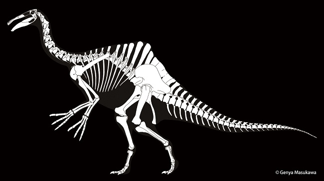 特別展「恐竜博2019」＠国立科学博物館デイノケイルス 全身骨格図