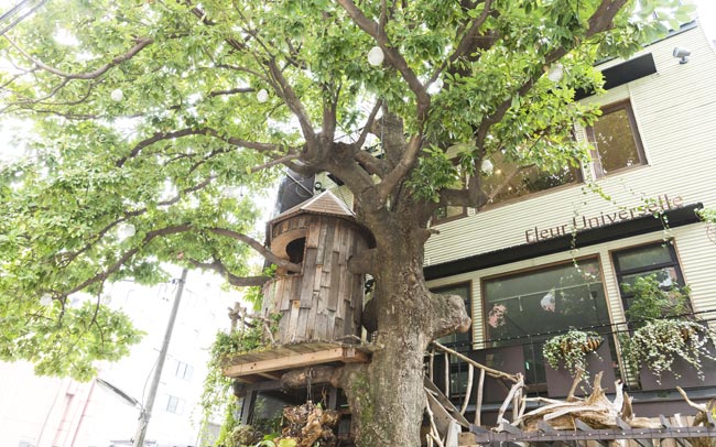 木の温もりに癒される広尾のフラワーカフェ