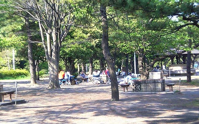 神奈川・野島公園