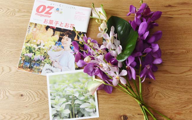 雑誌とお花の定期便「OZmagazineと旅するお花たち 花のまど」申込受付中！