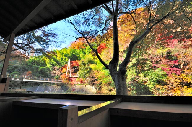 神奈川県の箱根・塔之沢温泉の「鶴井の宿　紫雲荘」