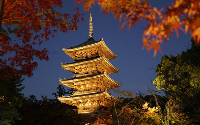 京都紅葉ライトアップのモデルコース～北野天満宮・仁和寺