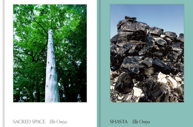 大宮エリー初の写真作品集「SACRED SPACE」と「SHASTA」が発売中