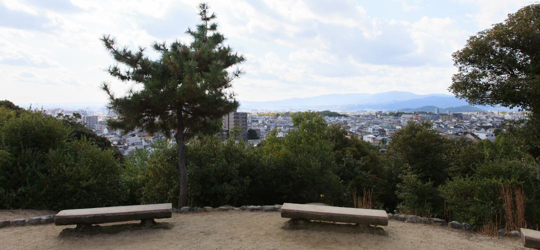 船岡山公園（左大文字）