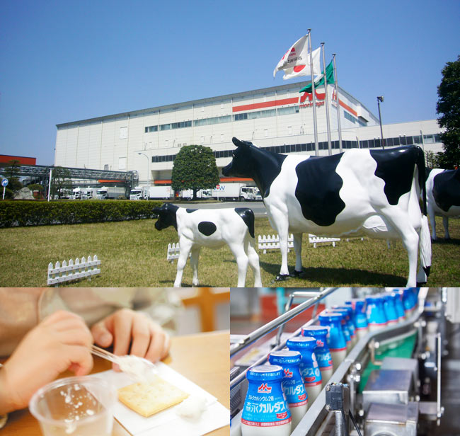 森永乳業東京多摩工場で牛乳やジュースの製造工程を見学しよう